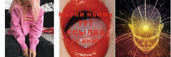 соль ск Верхний Тагил