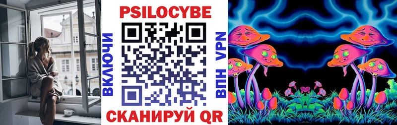 Купить где  Славгород  Псилоцибиновые грибы Cubensis 